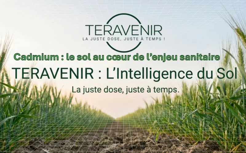 Teravenir rejoint l’OVHcloud Startup Program